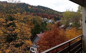 Bergblick Ferienwohnung Schwarzwald